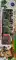 Photo Flash Tricolour (5 Pcs)